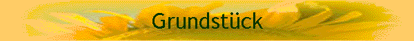Grundstück