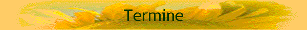 Termine